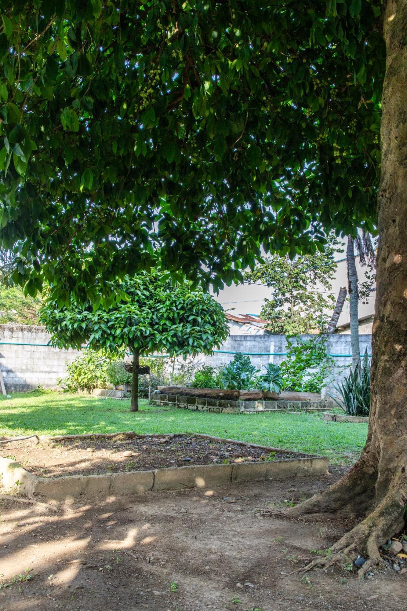 Cabanas Los Almendros Capurganá Extérieur photo