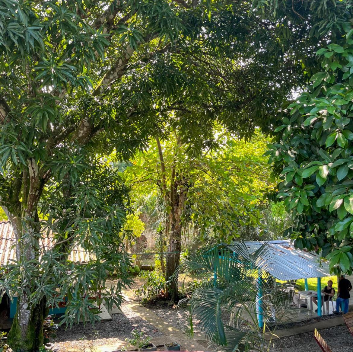 Cabanas Los Almendros Capurganá Extérieur photo