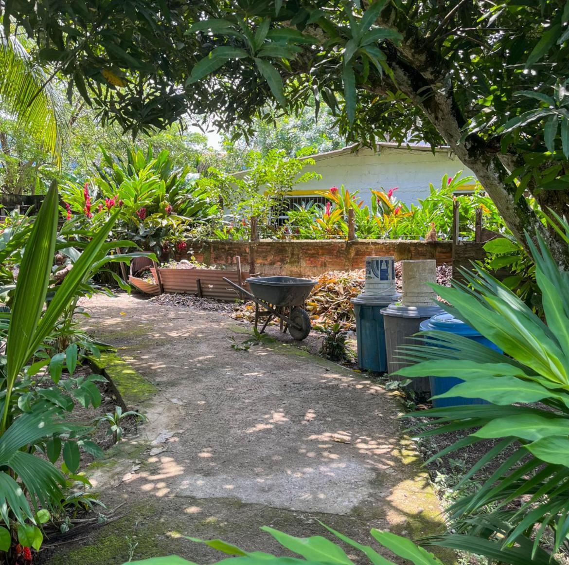 Cabanas Los Almendros Capurganá Extérieur photo